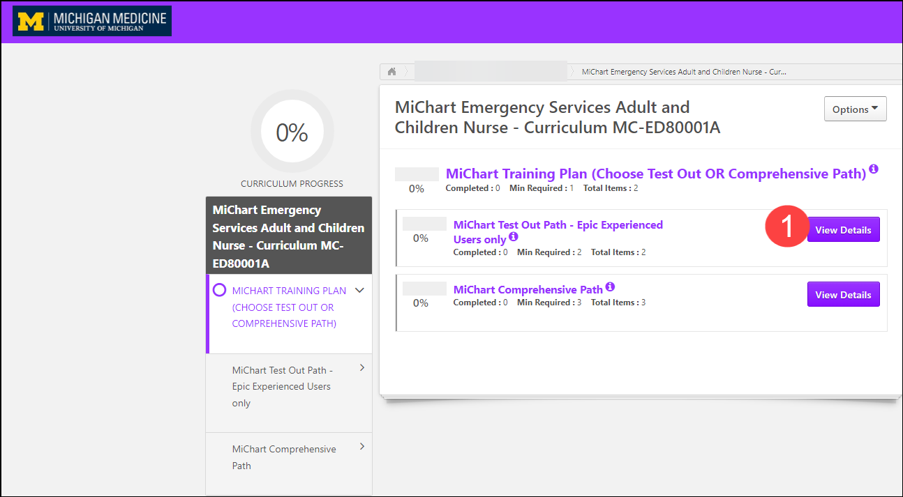 - MiChart Curriculum - Emergency Services Adult and Children's Nurse ...