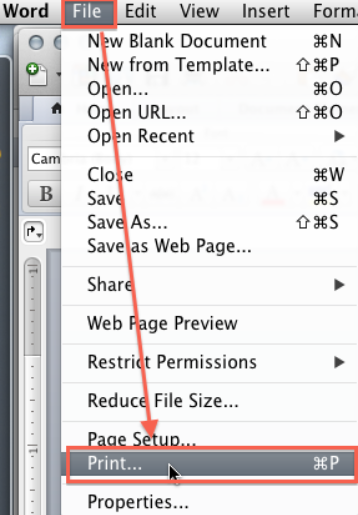 Print Button