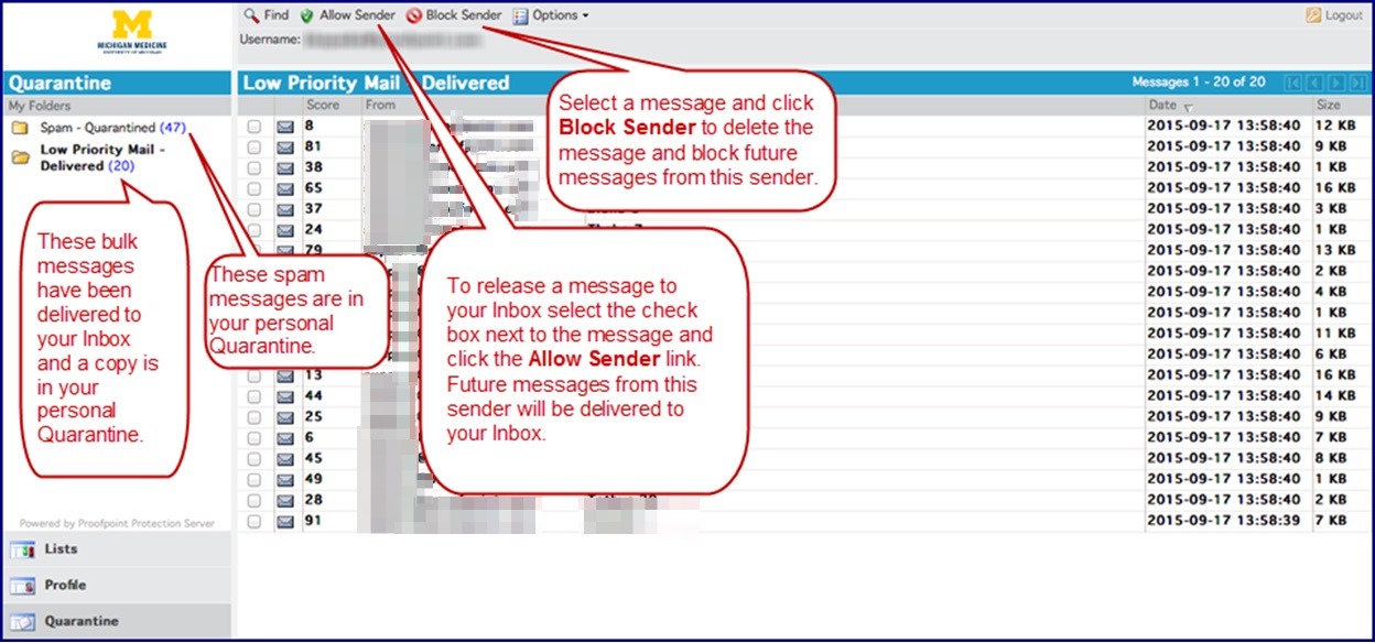 Example of the Web Application