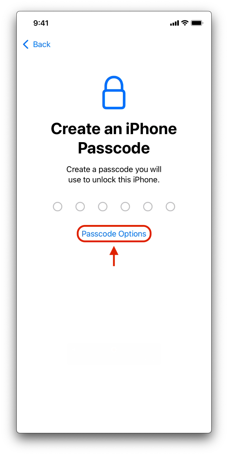 - Intune Mobile - Setup of a Facilities Standard iPhone - Michigan ...