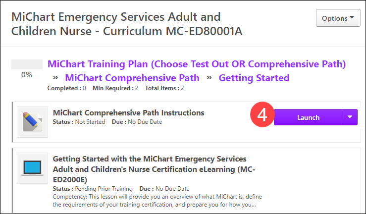 - MiChart Curriculum - Emergency Services Adult and Children's Nurse ...